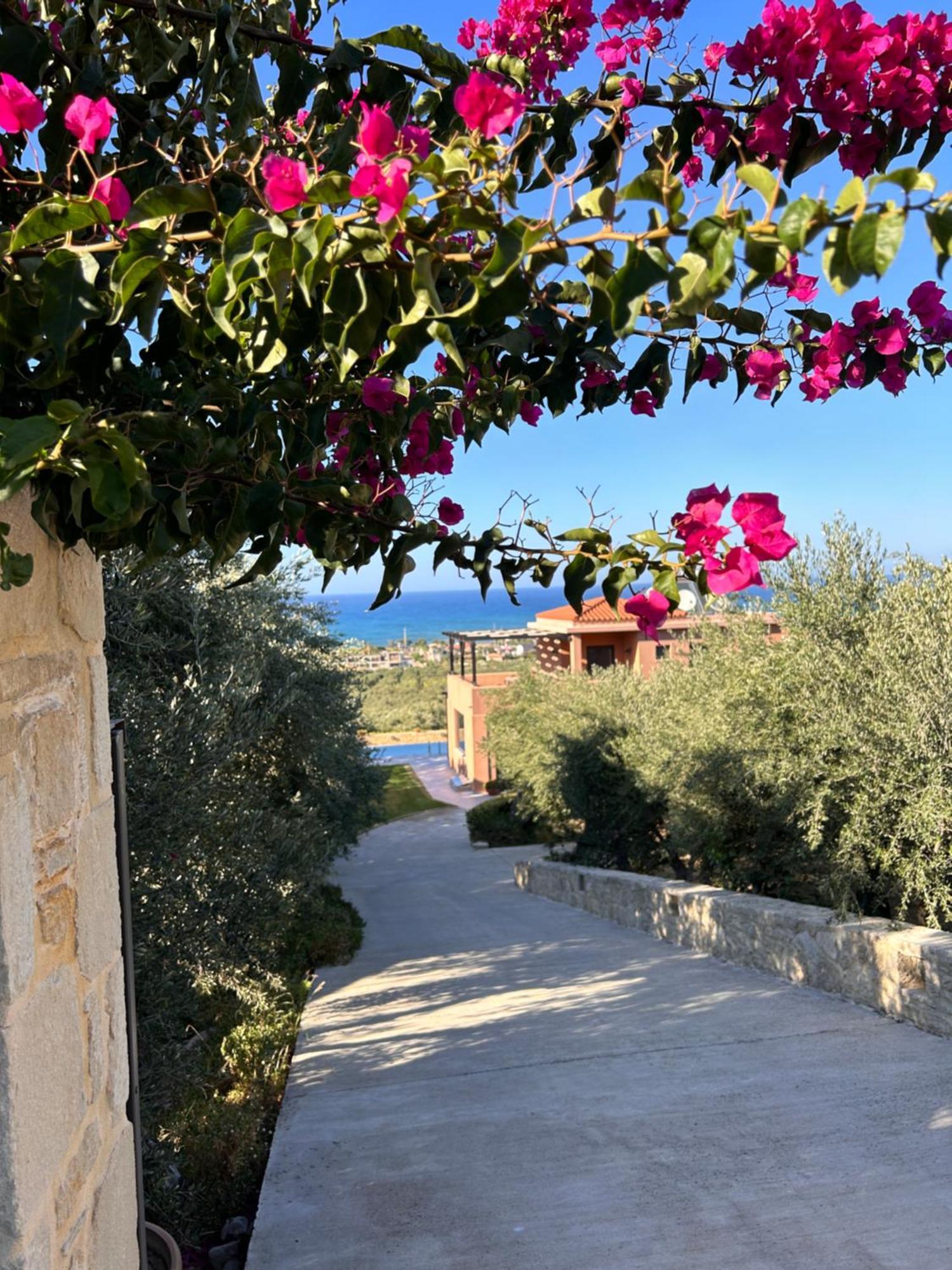 Villa Kudos Maleme Buitenkant foto